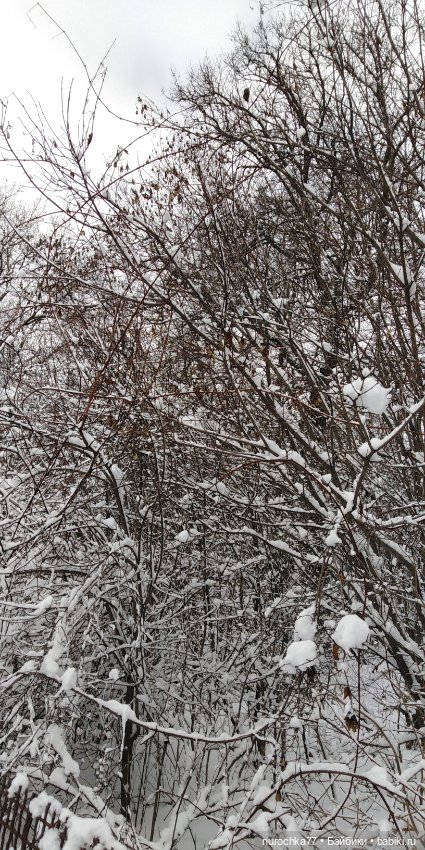 Снежная Королева — Куклы Gotz (Готц): Ханна (фото 3)