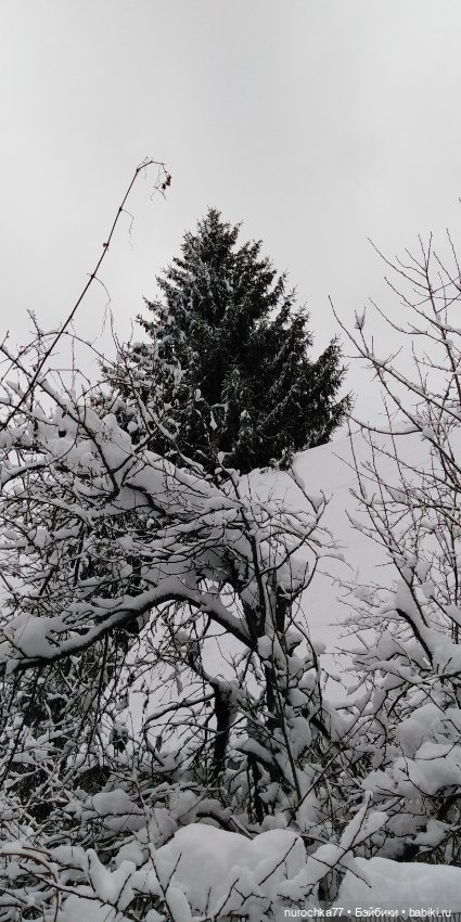 Снежная Королева — Куклы Gotz (Готц): Ханна