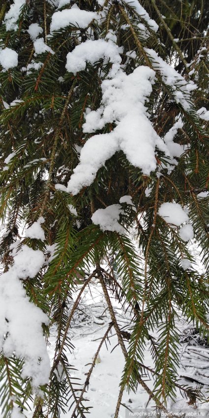 Снежная Королева — Куклы Gotz (Готц): Ханна