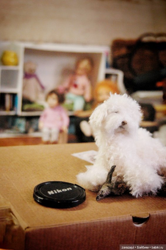 Новый процесс и вопрос — Авторские мишки Тедди и друзья: фото (фото 5)