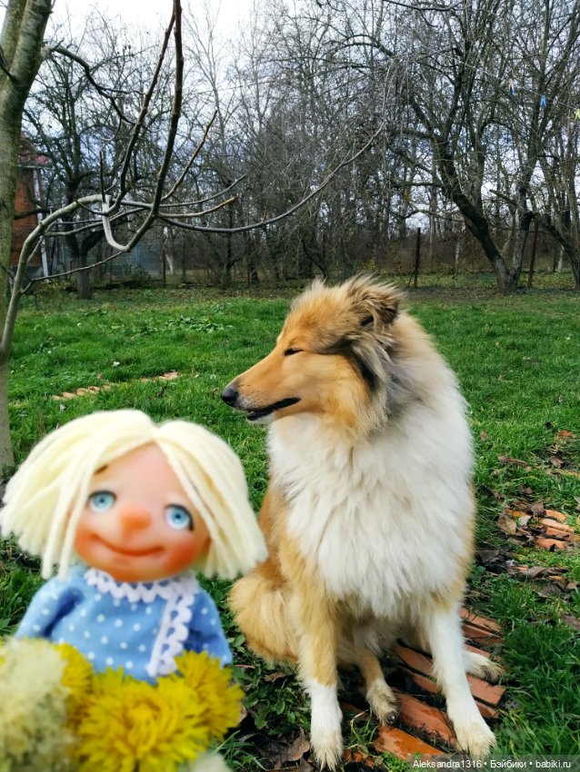 Зимние одуванчики или как Маня чуть Кузю не слопала😄