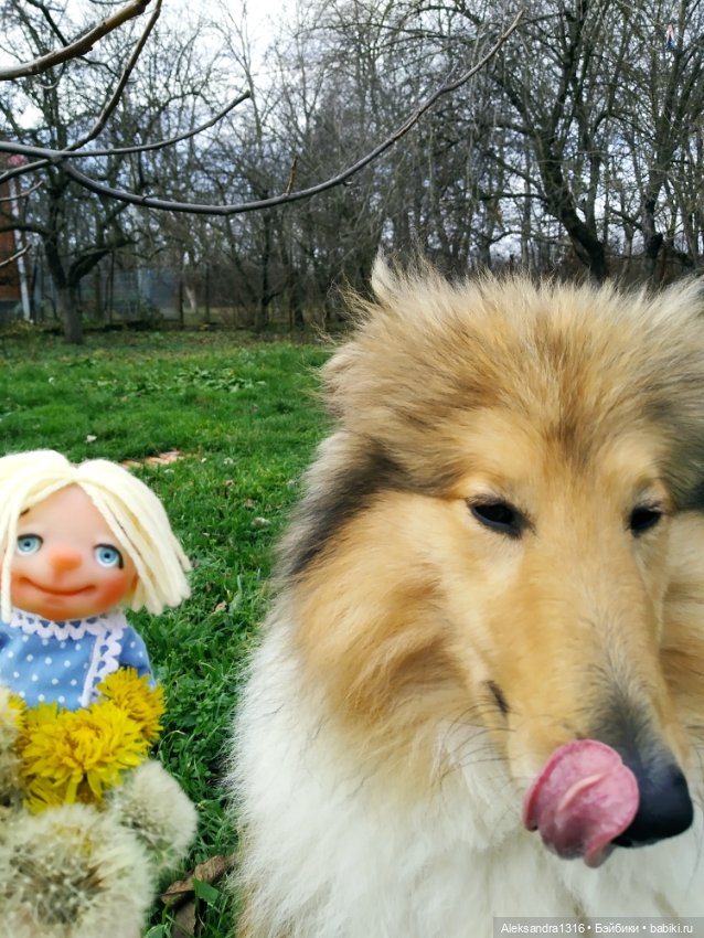 Зимние одуванчики или как Маня чуть Кузю не слопала😄