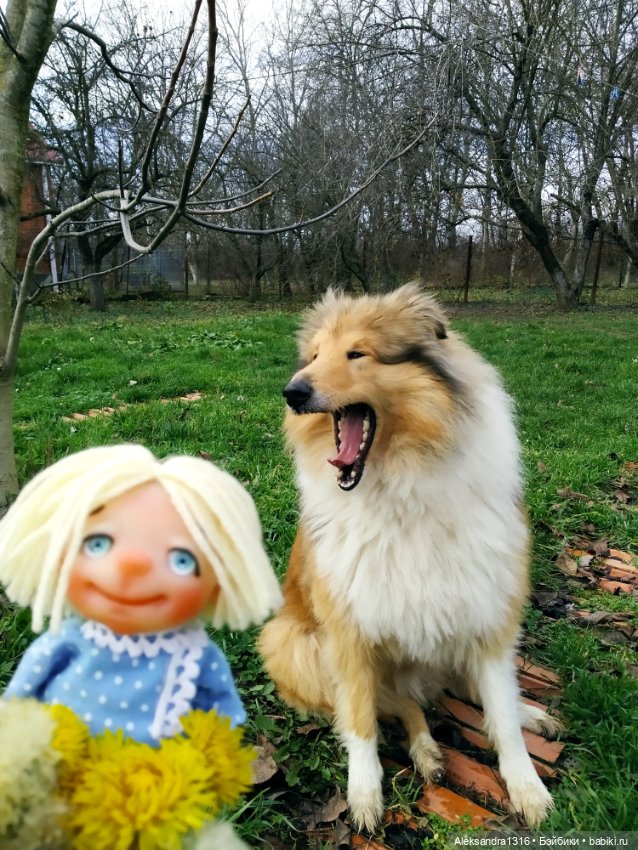 Зимние одуванчики или как Маня чуть Кузю не слопала😄