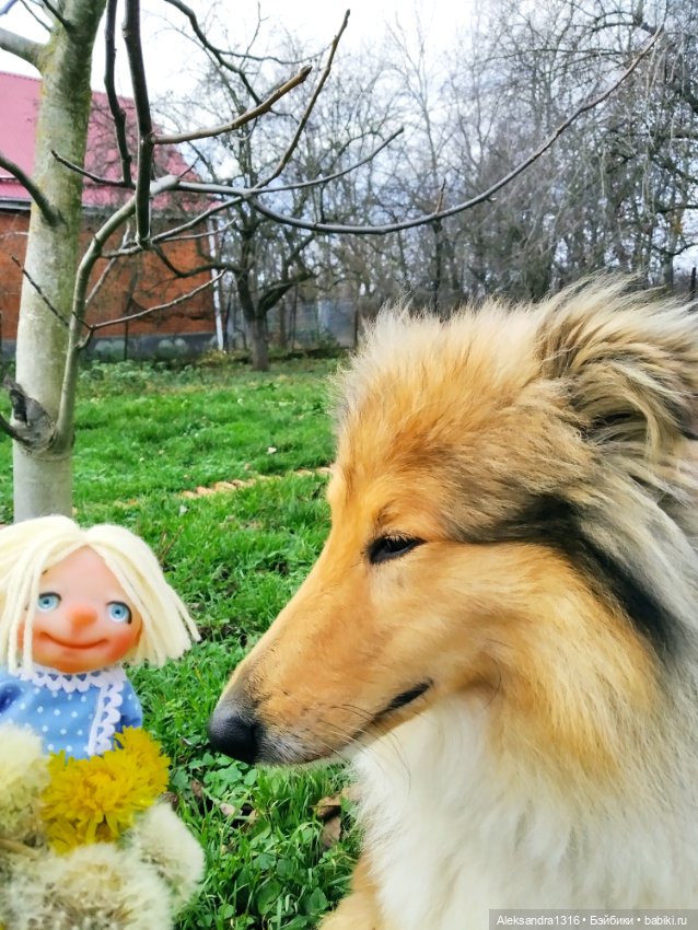 Зимние одуванчики или как Маня чуть Кузю не слопала😄