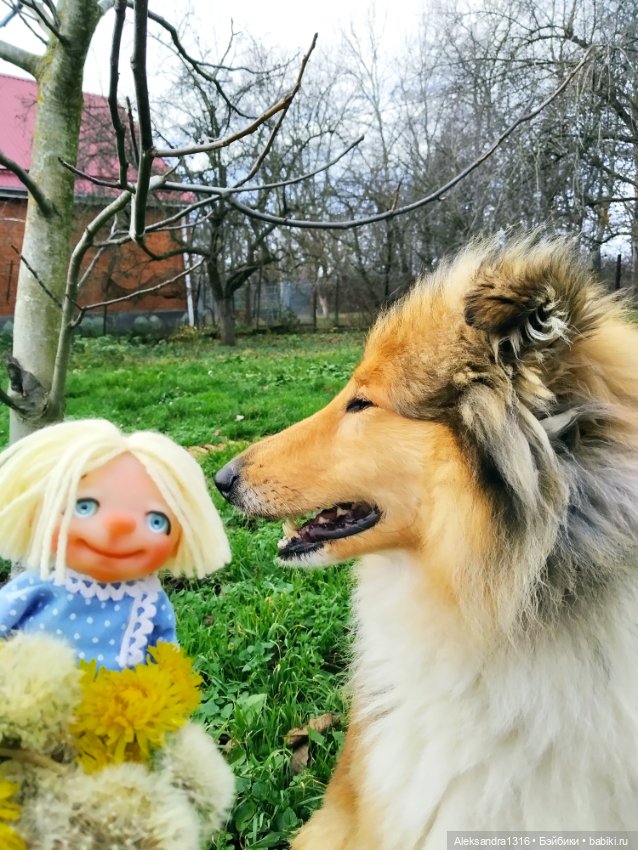 Зимние одуванчики или как Маня чуть Кузю не слопала😄