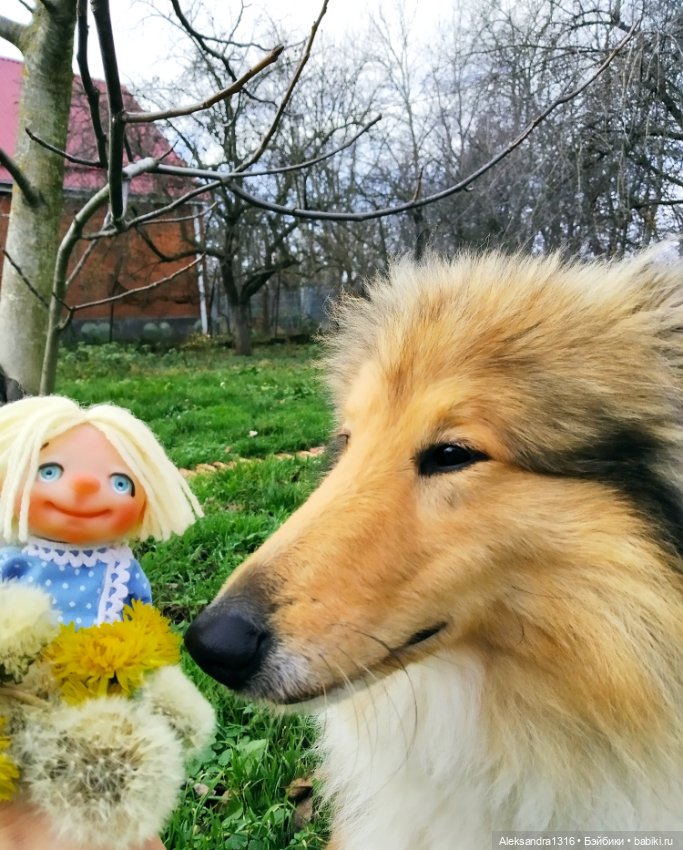 Зимние одуванчики или как Маня чуть Кузю не слопала😄