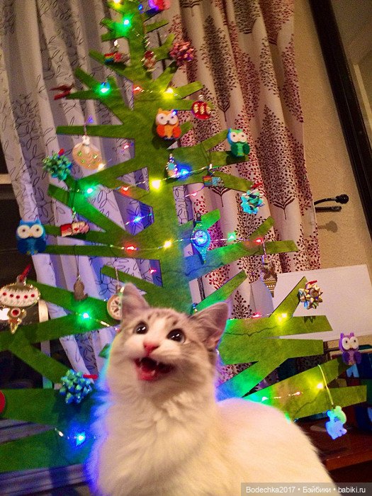 Ох уж эти елки — Новый год и Рождество: праздничные фото кукол (фото 9)