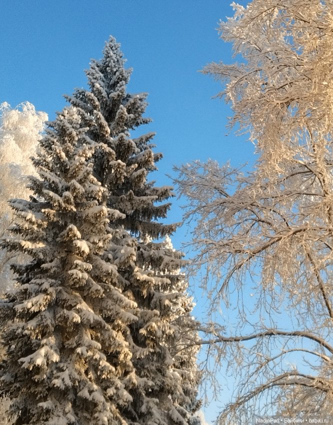 Мотя, платье и зима — Куклы Nines d'Onil (Нинес): Миа (Mia) (фото 5)