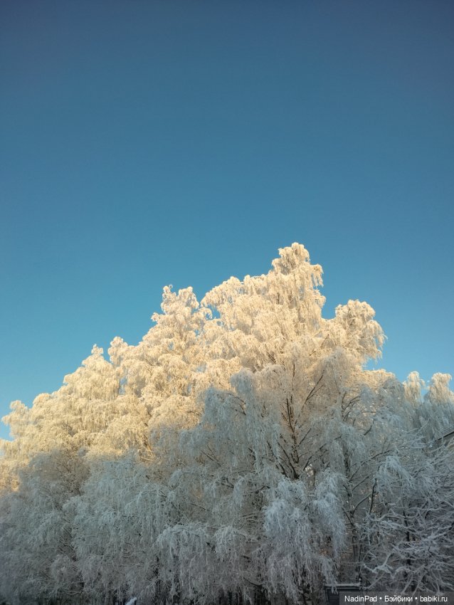 Мотя, платье и зима — Куклы Nines d'Onil (Нинес): Миа (Mia) (фото 8)