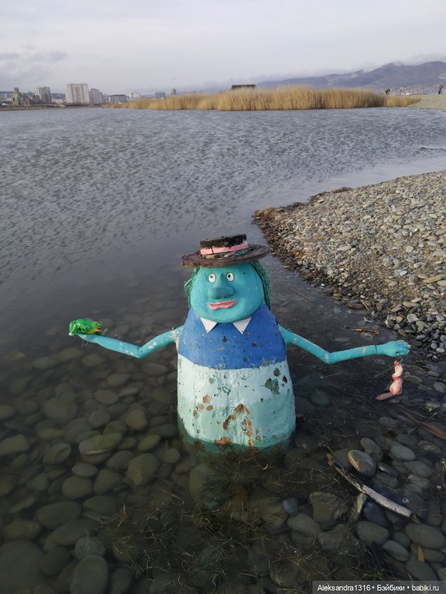 Вася👩 — Куклы Pullip (Пуллип)