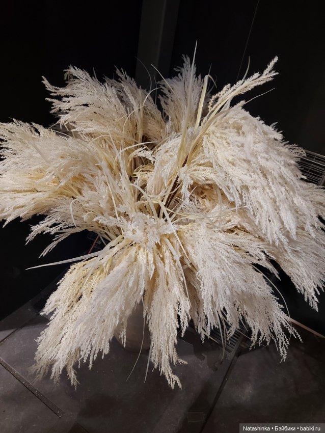 Fashion Dolls 457 — Туризм и путешествия: фотоотчеты из поездок