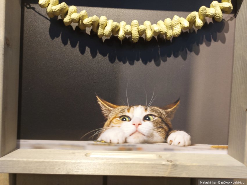 Fashion Dolls 457 — Туризм и путешествия: фотоотчеты из поездок