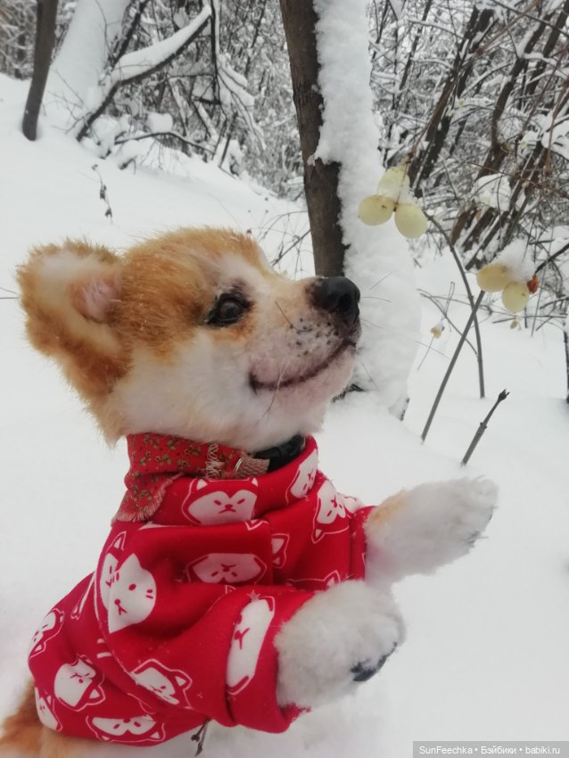 Живые игрушки — Домашние фото авторских игрушек: Тедди (фото 10)