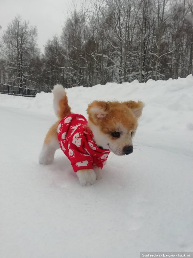 Живые игрушки — Домашние фото авторских игрушек: Тедди