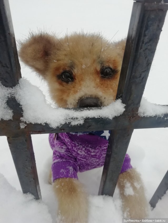 Живые игрушки — Домашние фото авторских игрушек: Тедди