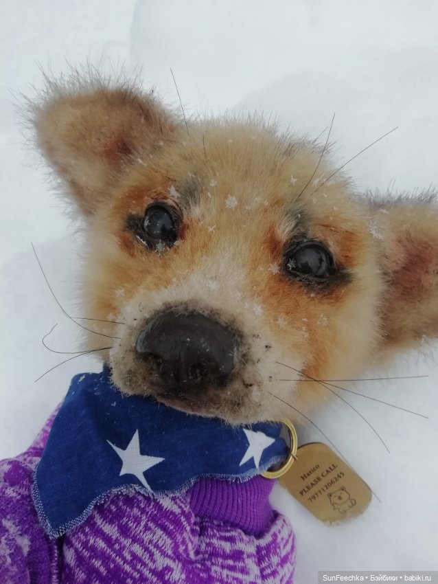 Живые игрушки — Домашние фото авторских игрушек: Тедди