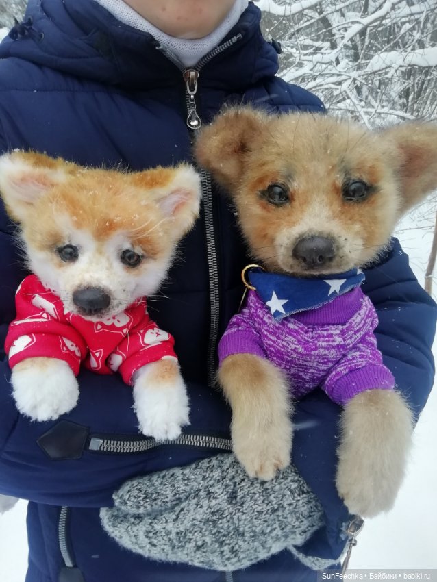 Живые игрушки — Домашние фото авторских игрушек: Тедди (фото 6)