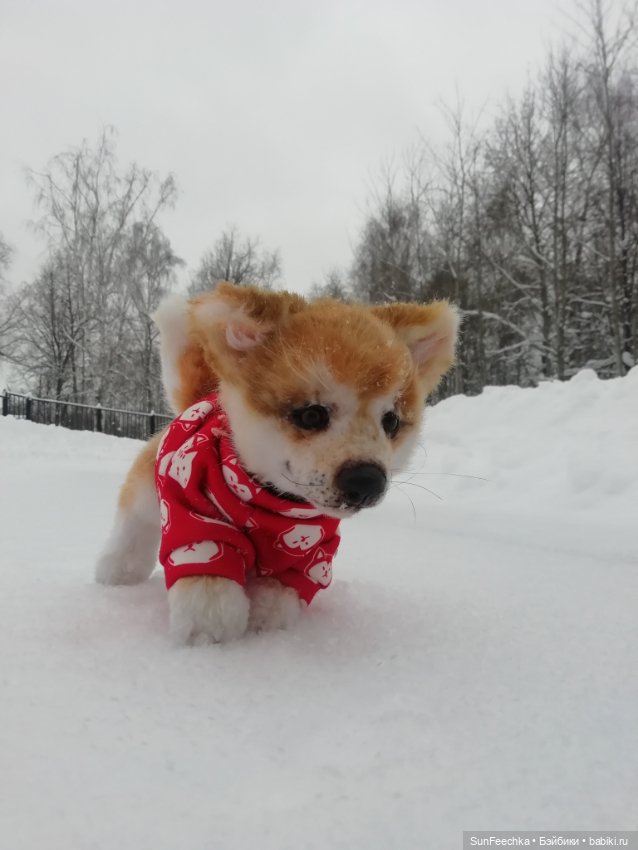 Живые игрушки — Домашние фото авторских игрушек: Тедди (фото 7)