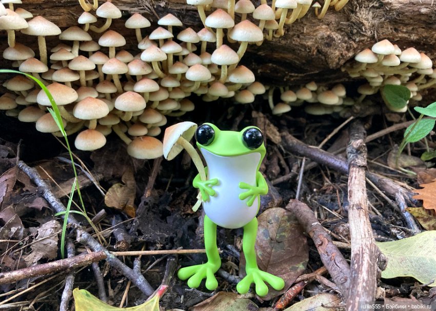 Лягушонок Афоня — Коллекционные фигурки (разное): животные