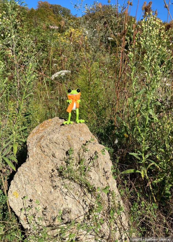 Лягушонок Афоня — Коллекционные фигурки (разное): животные