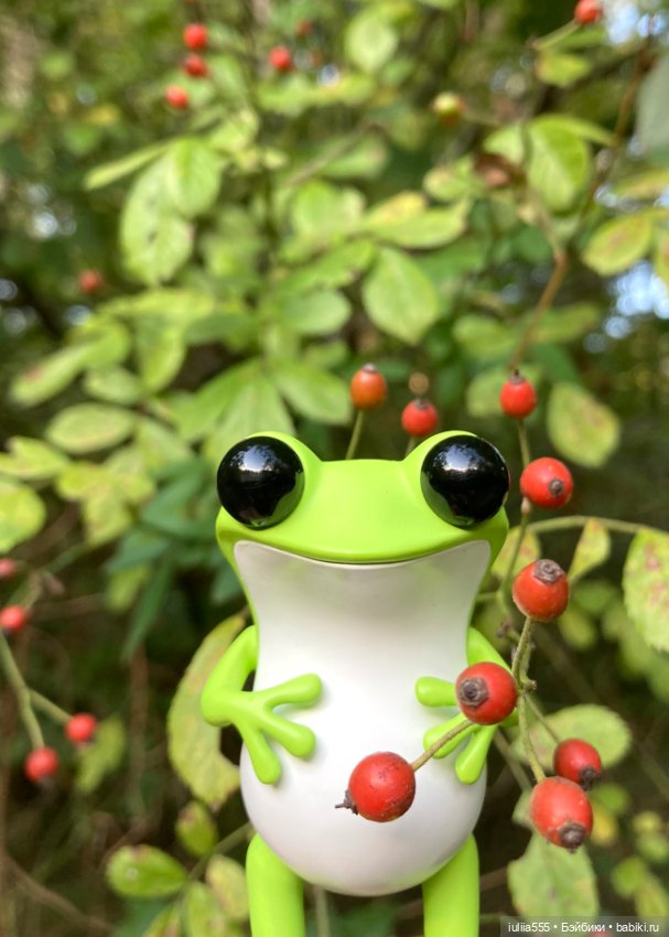 Лягушонок Афоня — Коллекционные фигурки (разное): животные