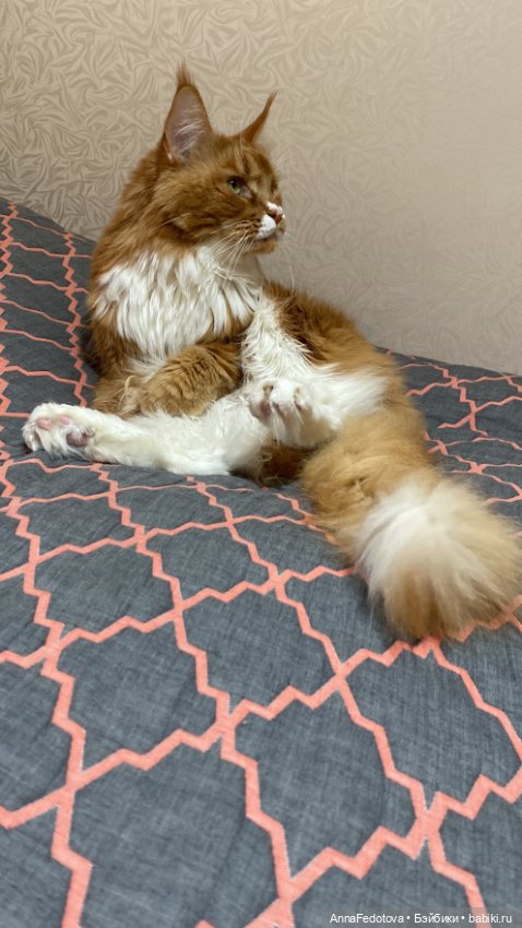 Малыши🤗🥰 — Домашние фото авторских кукол: личные коллекции (фото 6)