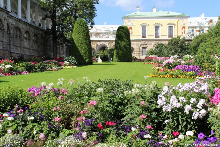 Японцы в Питере — Разные шарнирные куклы (не БЖД): редкие (фото 4)