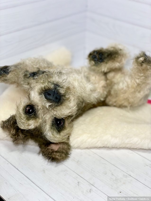 Бейли 🐾 — Реалистичные игрушки и звери (Натюр): собаки