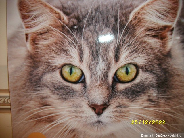 С наступающим Новым годом (фото 7)