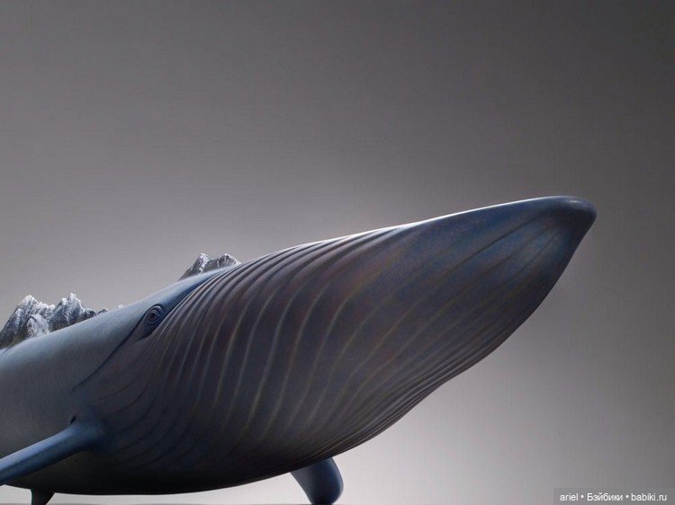 Удивительный скульптурный проект Раилин Вонг (Ruilin Wang) (фото 2)