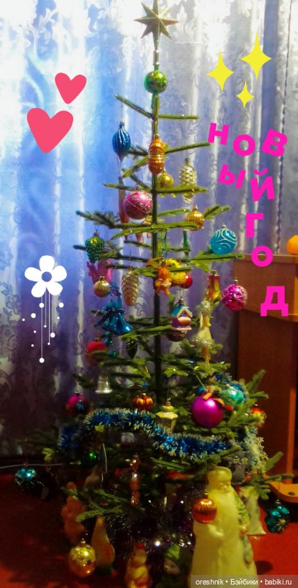 Новый Год подходит – ёлку в дом заводит