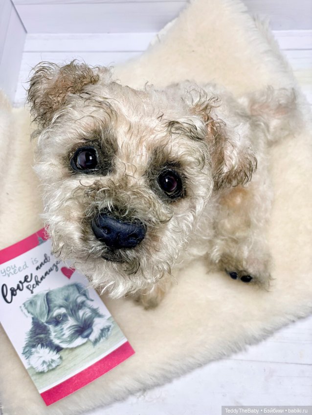 Снежок🐾 — Реалистичные игрушки и звери (Натюр): собаки