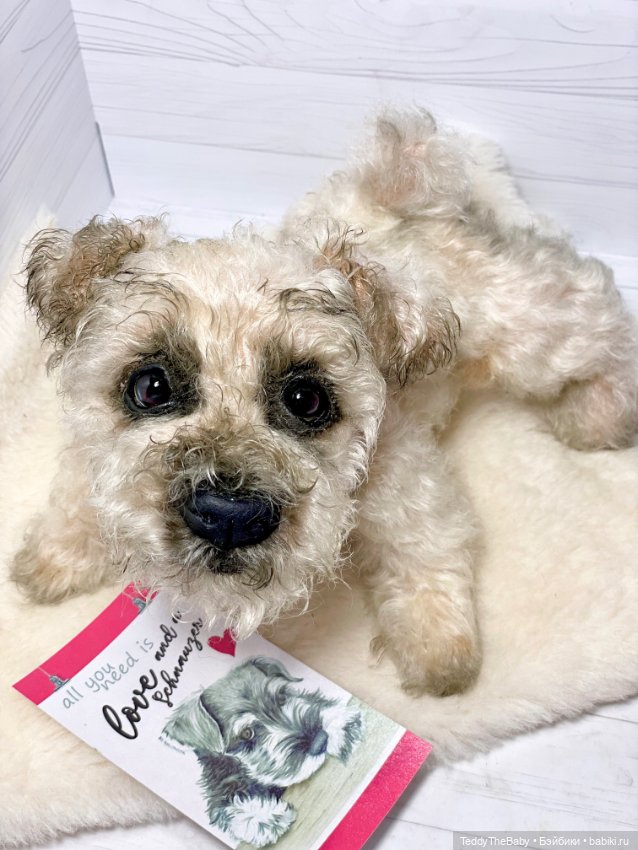 Снежок🐾 — Реалистичные игрушки и звери (Натюр): собаки