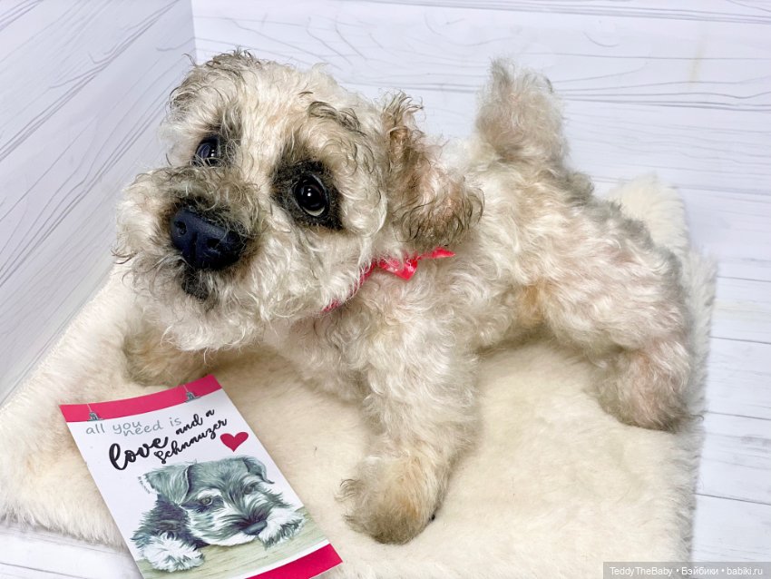 Снежок🐾 — Реалистичные игрушки и звери (Натюр): собаки