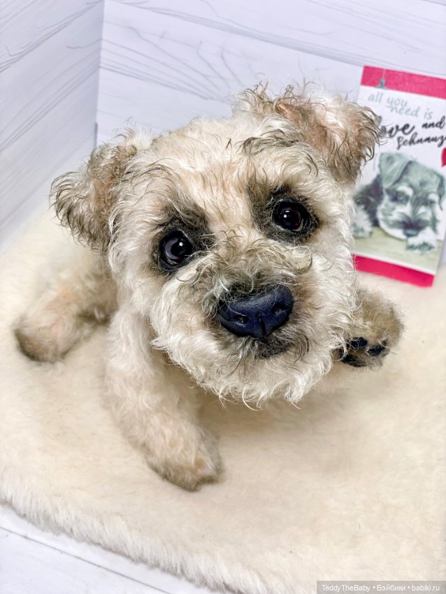 Снежок🐾 — Реалистичные игрушки и звери (Натюр): собаки (фото 2)