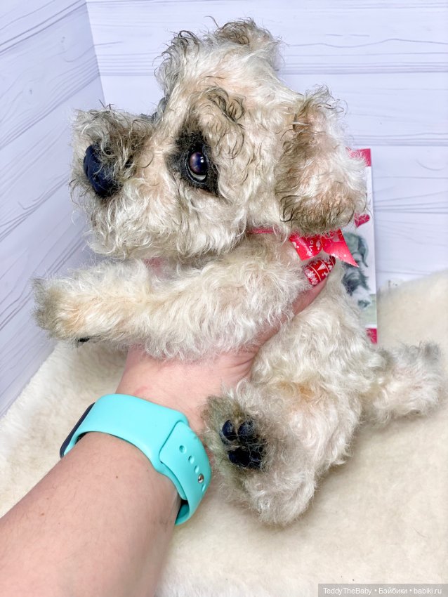 Снежок🐾 — Реалистичные игрушки и звери (Натюр): собаки