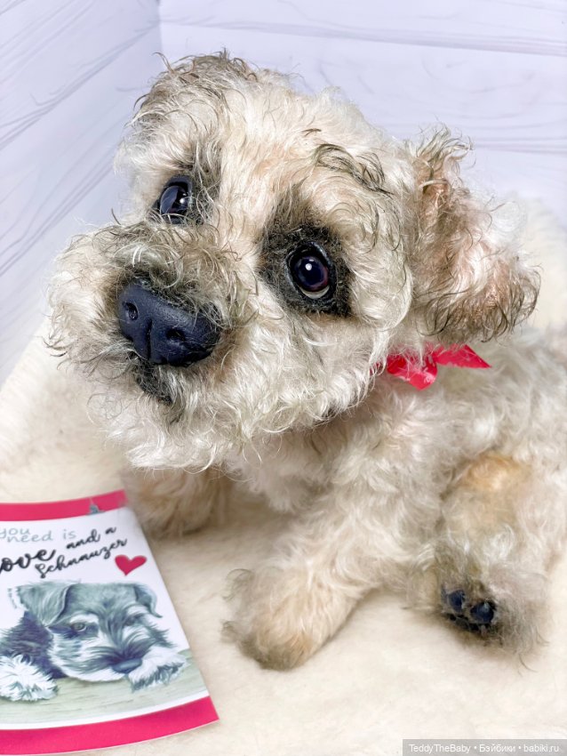 Снежок🐾 — Реалистичные игрушки и звери (Натюр): собаки