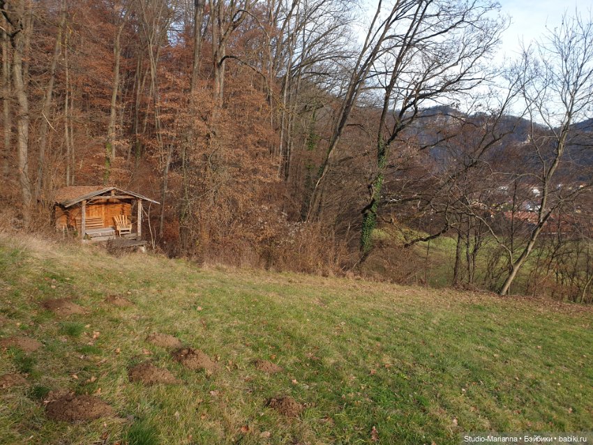 Подарок — Игровые куклы Zwergnase (Цвергназе) Junior: Джуниор