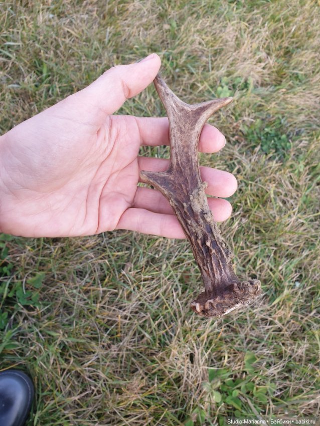 Подарок — Игровые куклы Zwergnase (Цвергназе) Junior: Джуниор