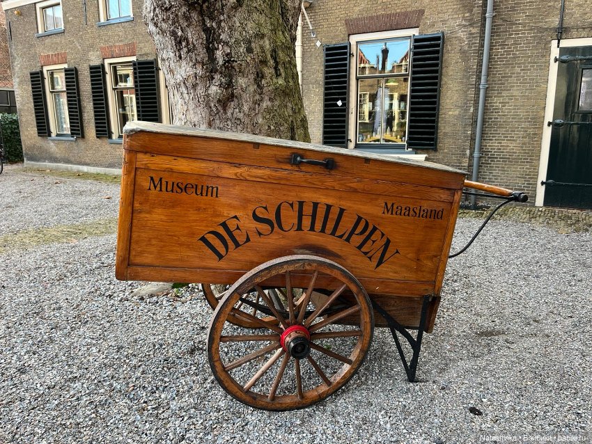 Fashion Dolls 462 — Туризм и путешествия: фотоотчеты из поездок