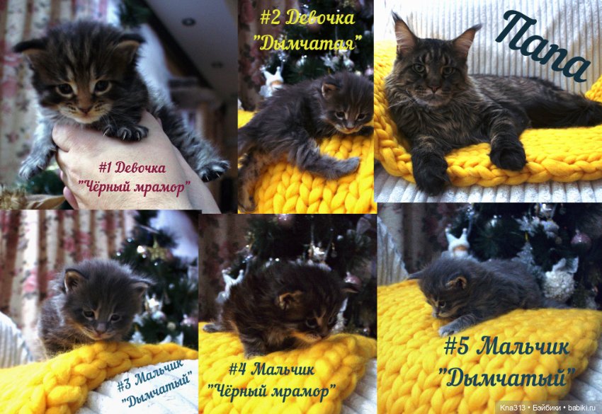 Один день из жизни обитателей моего кукольного домика.❄ ❄ ❄