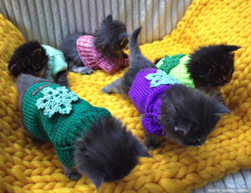 Один день из жизни обитателей моего кукольного домика.❄ ❄ ❄ (фото 3)