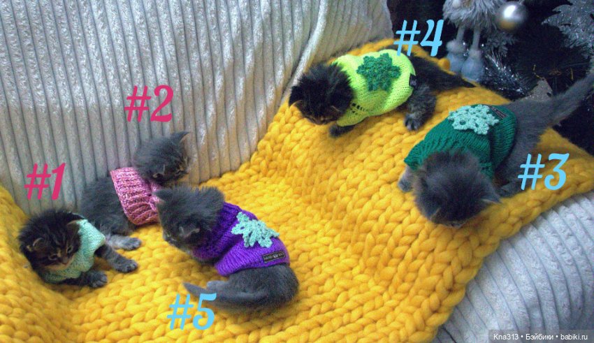 Один день из жизни обитателей моего кукольного домика.❄ ❄ ❄ (фото 4)