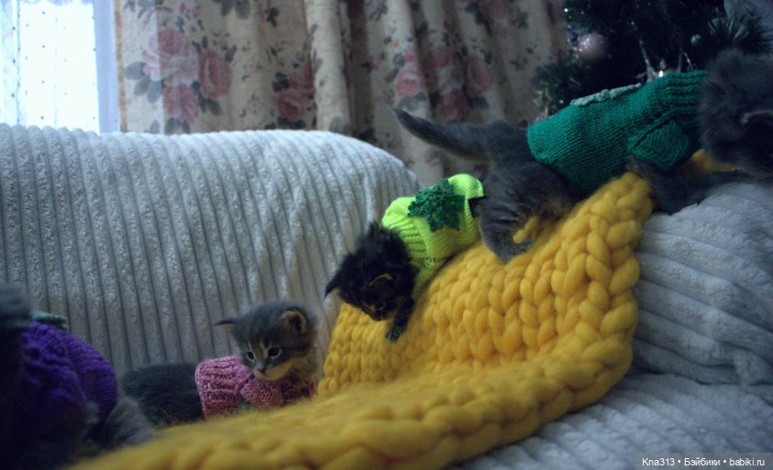 Один день из жизни обитателей моего кукольного домика.❄ ❄ ❄ (фото 5)