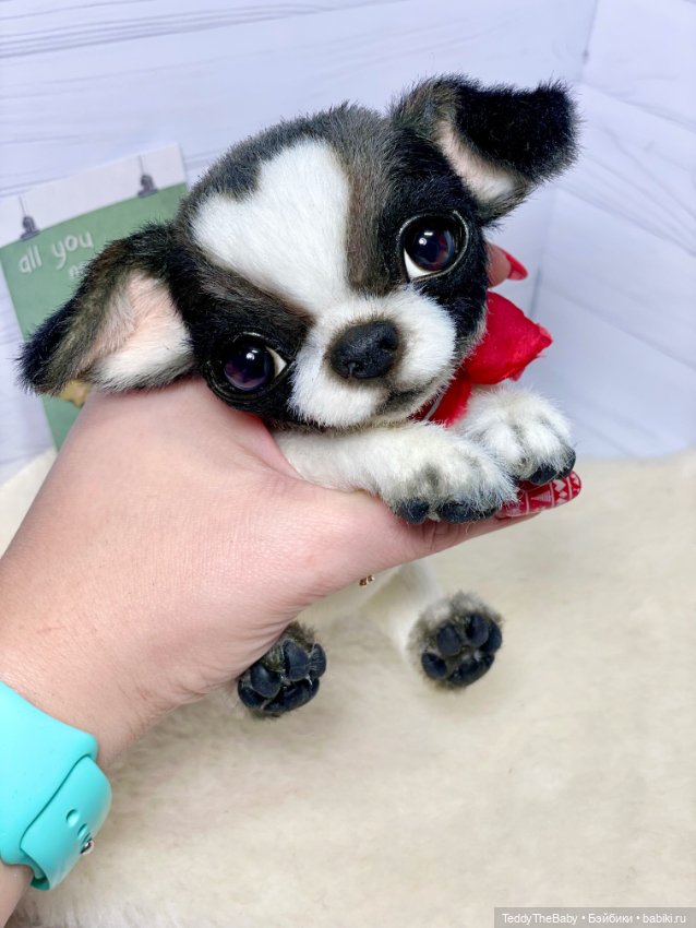 Бимка🐾🐶 — Реалистичные игрушки и звери (Натюр): собаки (фото 3)