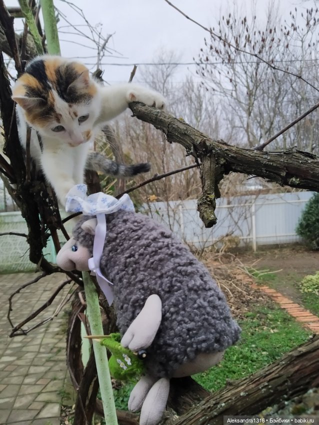 Моя овечка🐑 — Вязаные игрушки и амигуруми: крючком (фото 4)