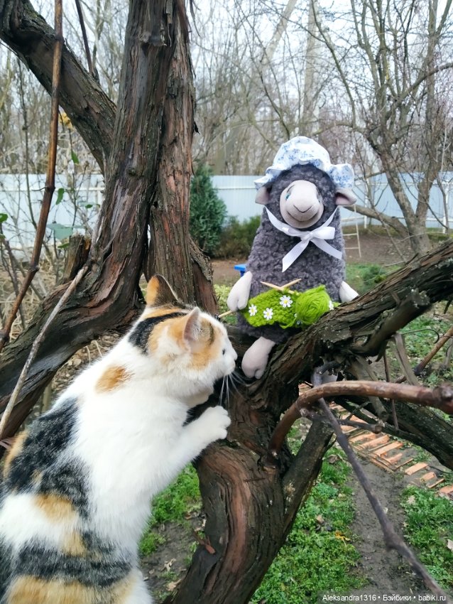 Моя овечка🐑 — Вязаные игрушки и амигуруми: крючком (фото 2)