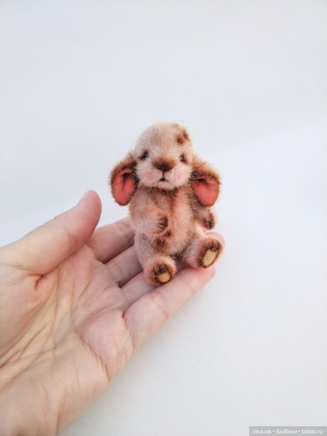 Последний зверик в этом году☺️