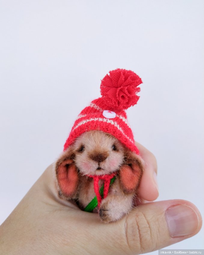 Последний зверик в этом году☺️ (фото 3)