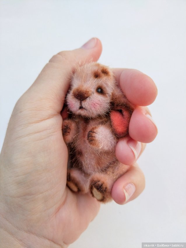 Последний зверик в этом году☺️ (фото 9)